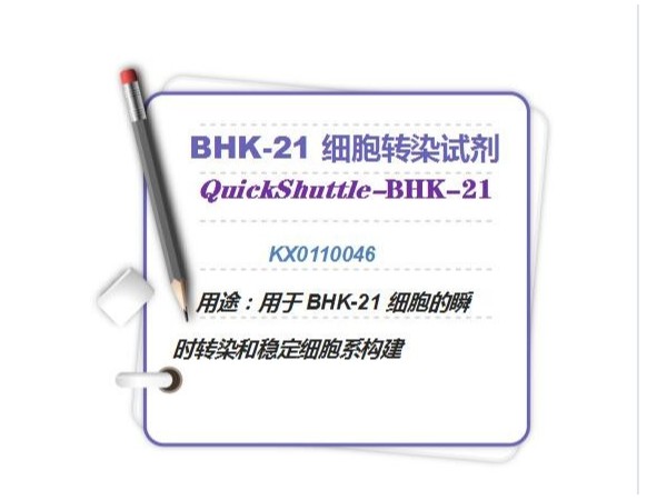 QuickShuttle-BHK-21 细胞转染试剂