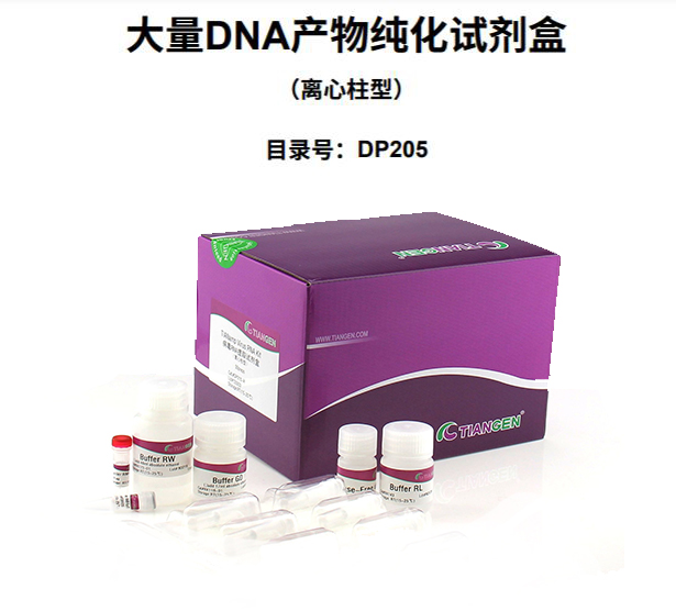 DNA纯化试剂盒