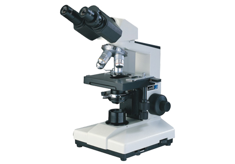ML11 电子显微镜