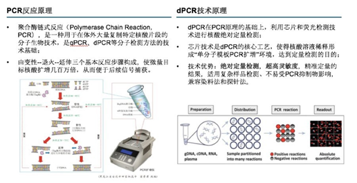 荧光定量PCR仪原理