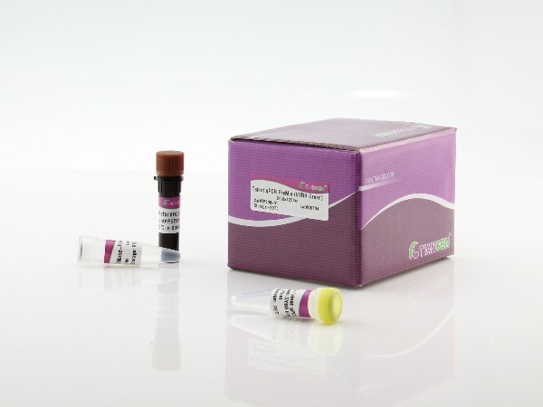 天根试剂盒FP209-Talent荧光定量检测试剂​-荧光定量pcr试剂盒​