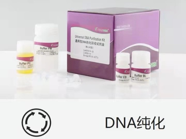 天根 DP204 普通DNA产物纯化试剂盒