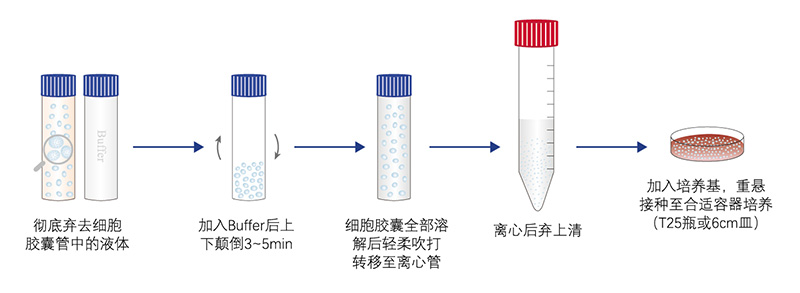 细胞解冻