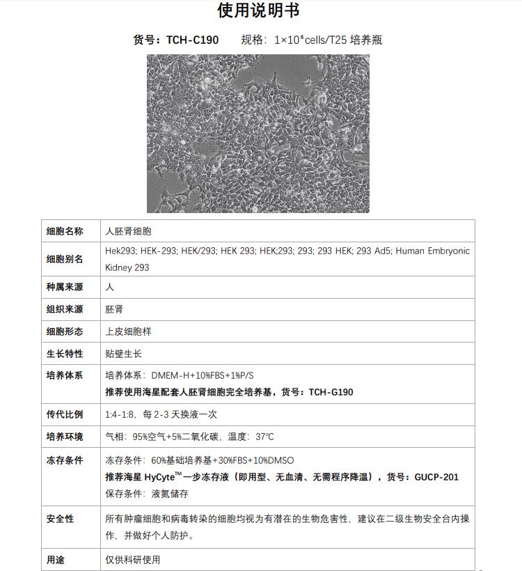 HEK293细胞说明书