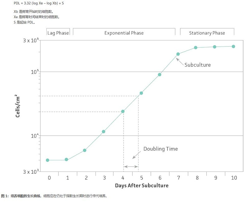 <i style='color:red'>细胞传代培养步骤</i>