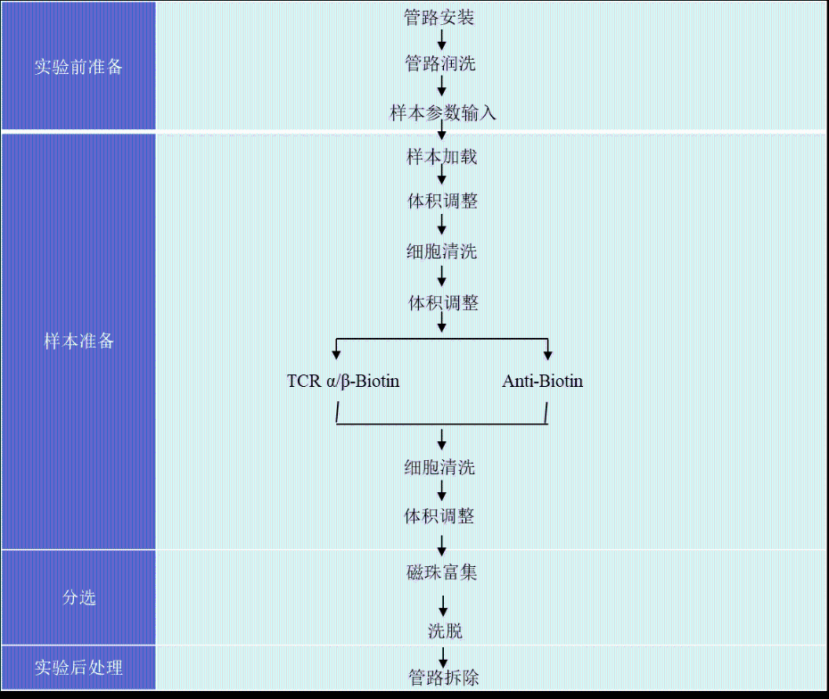 细胞分选操作流程
