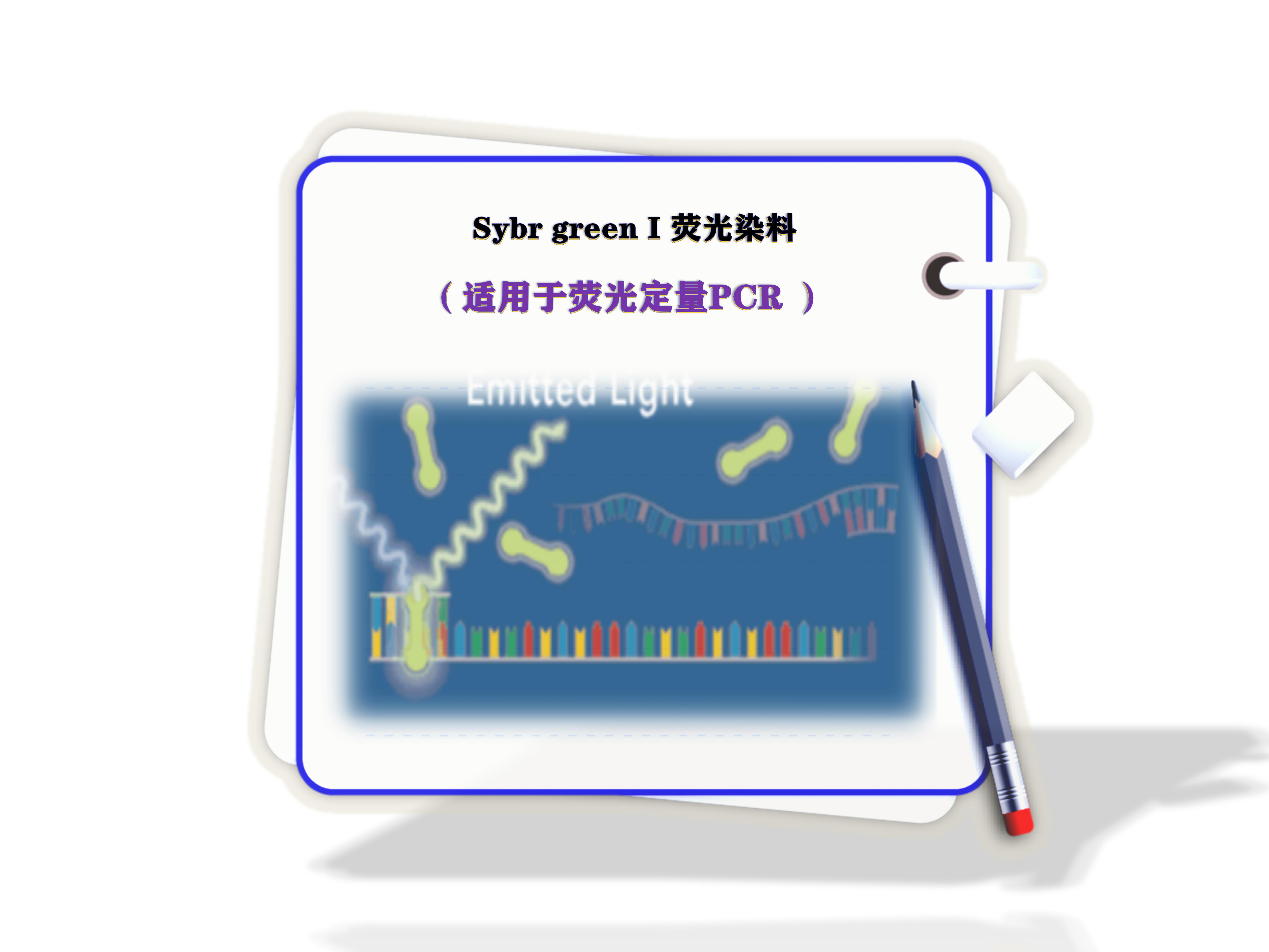 sybr <i style='color:red'>green荧光染料</i>​-荧光定量PCR