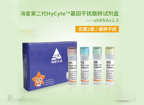 HyCyte基因干扰稳转试剂盒-转染试剂