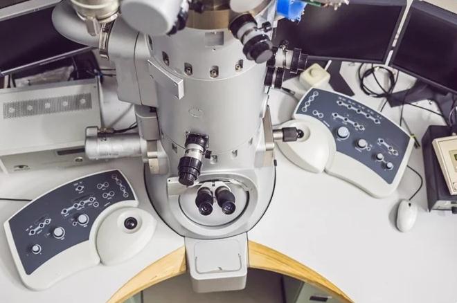 透射电镜-扫描电镜-反射电镜三种常见<i style='color:red'>电子显微镜</i>的应用