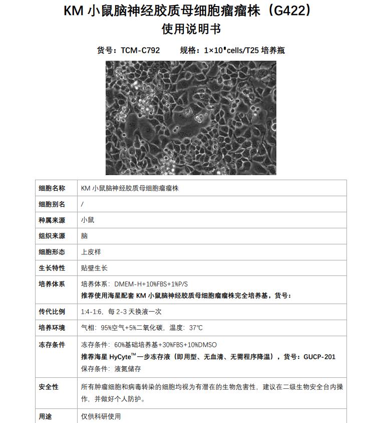 G422细胞培养