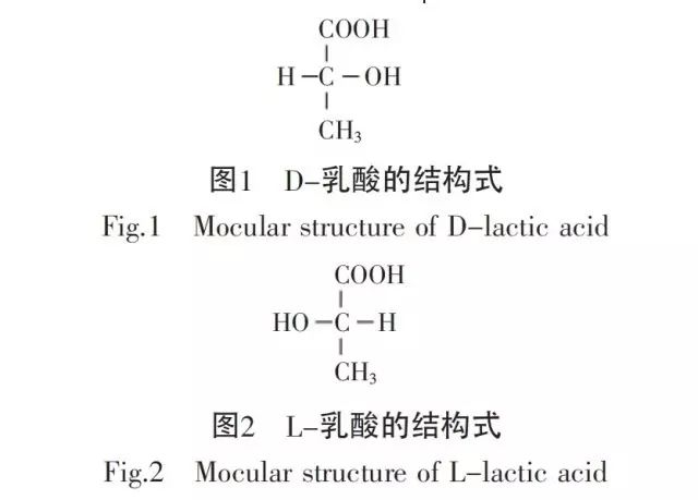 乳酸分析仪结构