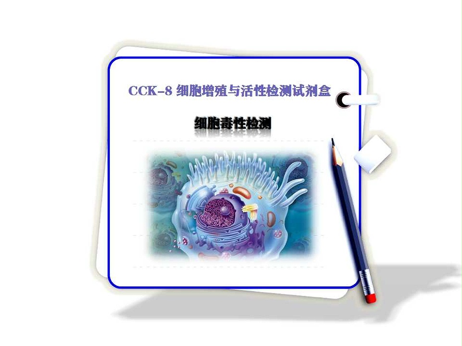 CCK-8细胞毒性检测试剂盒