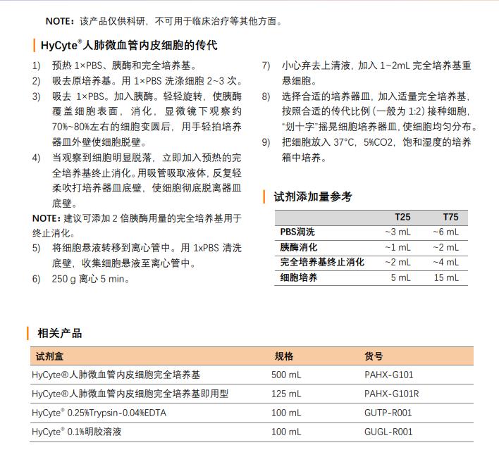 血管内皮