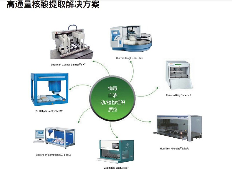 高通量核酸提取