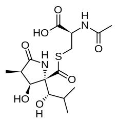  lactacystin