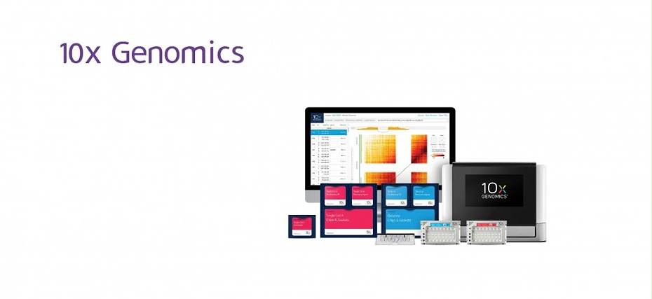 10xGenomics Chromium系统-单细胞测序仪