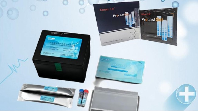 SDS-PAGE技术在蛋白质分析中的应用及原理解析