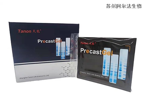 Tanon电泳Precast Gel天能SDS预制胶-Western <i style='color:red'>blot</i>