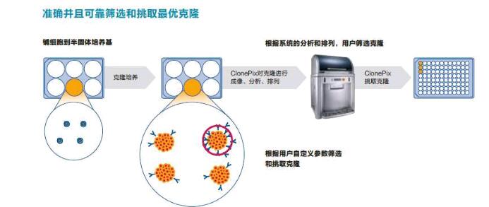 ClonePix细胞筛选系统