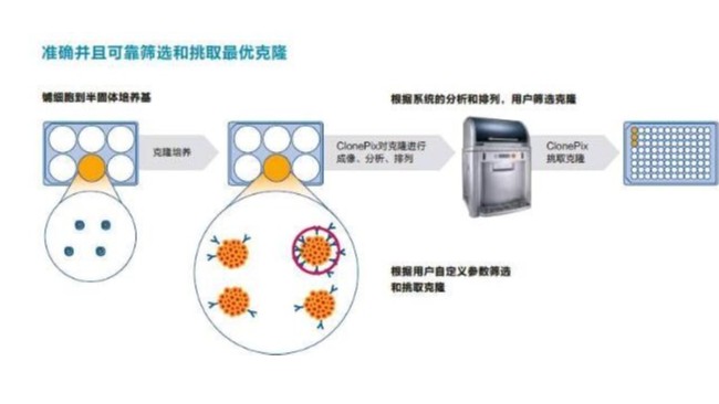 抗体-生物制药-<i style='color:red'>国产抗体</i>药物的生产现状