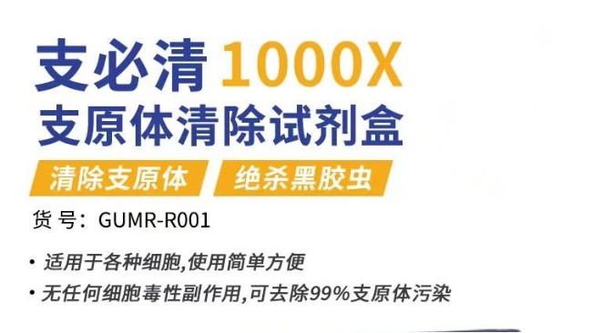 使用支原体清除试剂盒解决细胞支原体污染问题