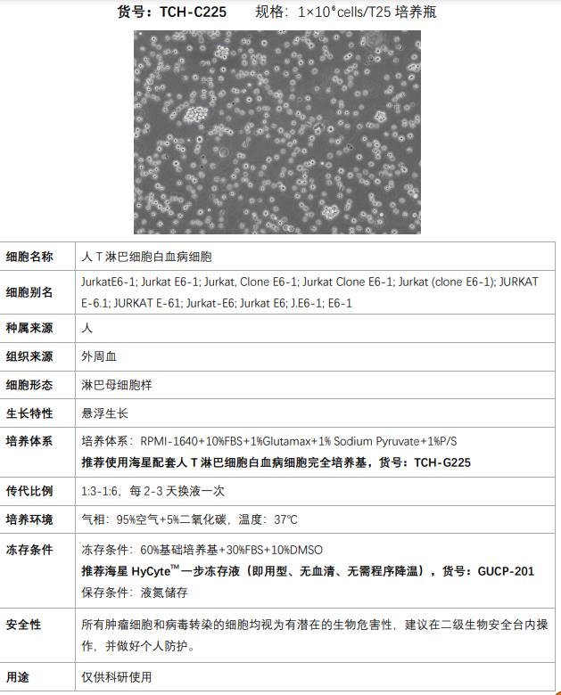 Jurkat细胞使用说明