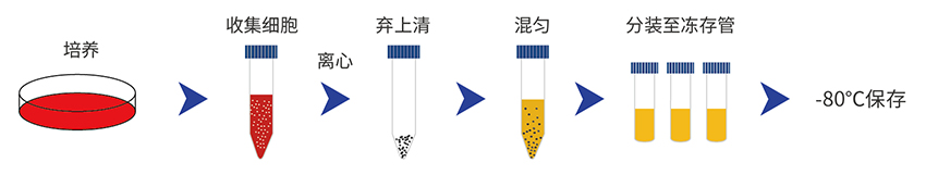 干细胞冻存液步骤