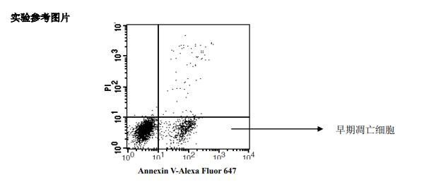 细胞凋亡检测效果