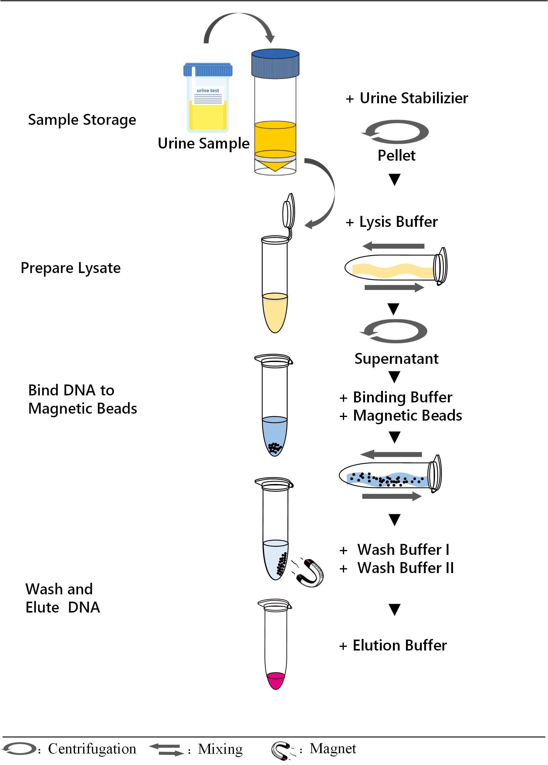质粒 DNA 少量快速提取实验方案