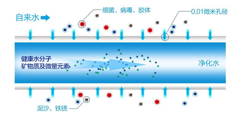 净水器结构