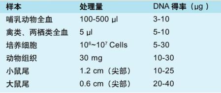 组织DNA提取