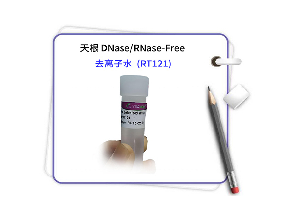 <i style='color:red'>天根试剂</i>-去离子水RT121-DNase- rnase-free水