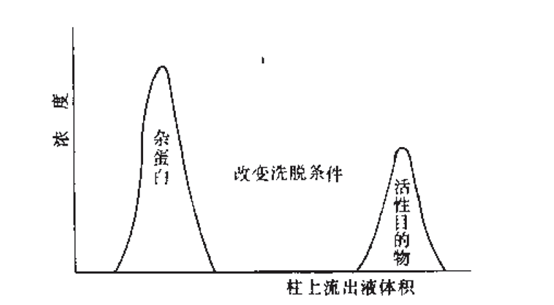 蛋白纯化亲和层析原理