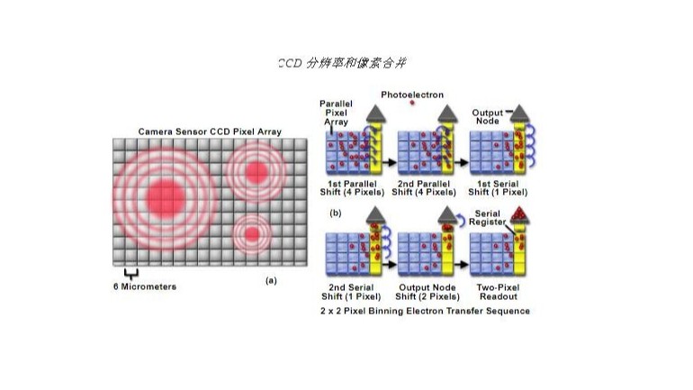 <i style='color:red'>活细胞成像</i>的显微成像系统和检测器要求