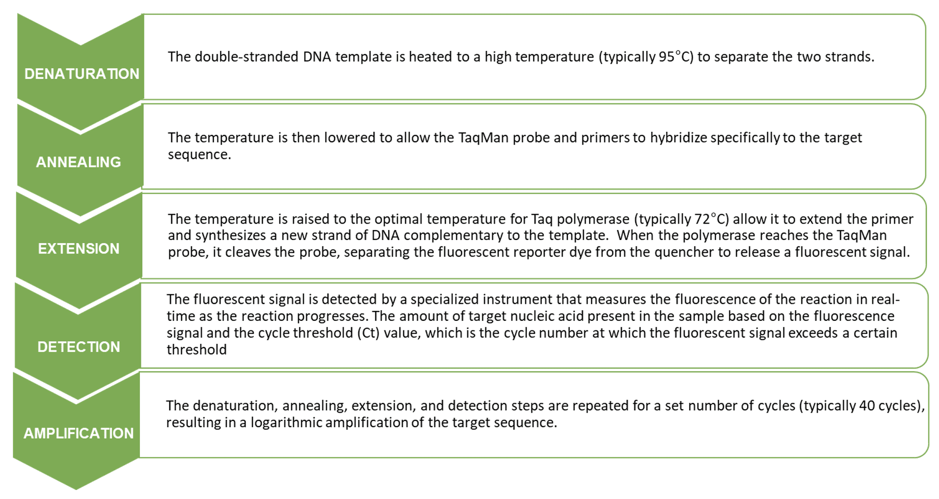 荧光定量 PCR 中无 Ct 值或 Ct值过晚,该如何解决？