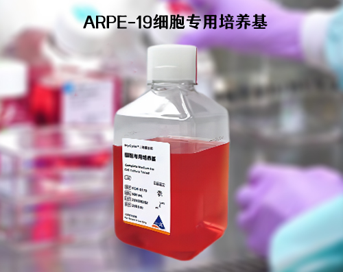 ARPE-19细胞培养基