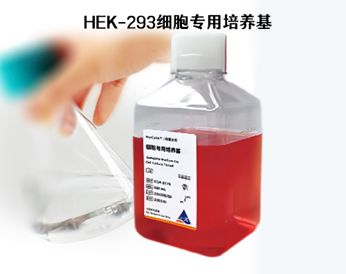 HEK-293细胞培养基
