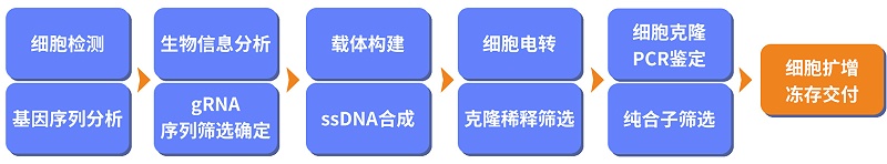 基因敲除细胞