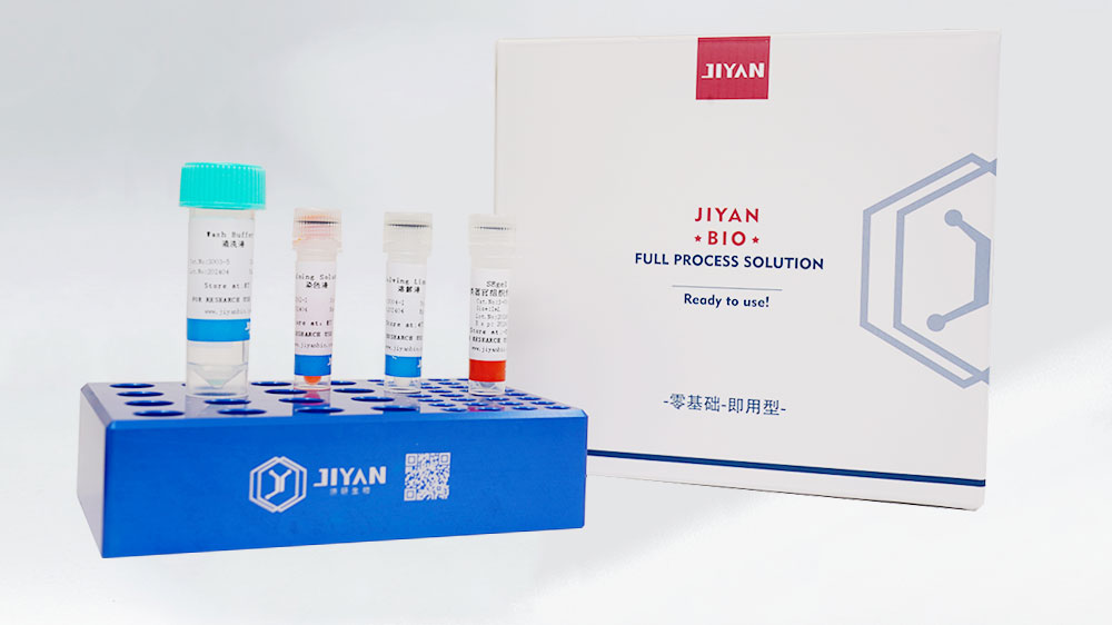类器官专用组织包埋胶试剂盒