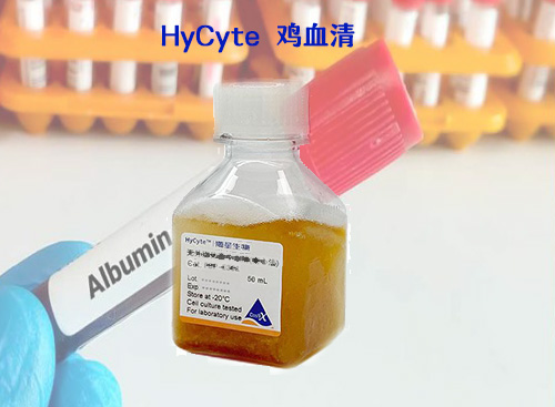 HyCyte 鸡血清-细胞培养级