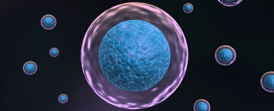 细胞生物学-单细胞技术研究方法有哪些