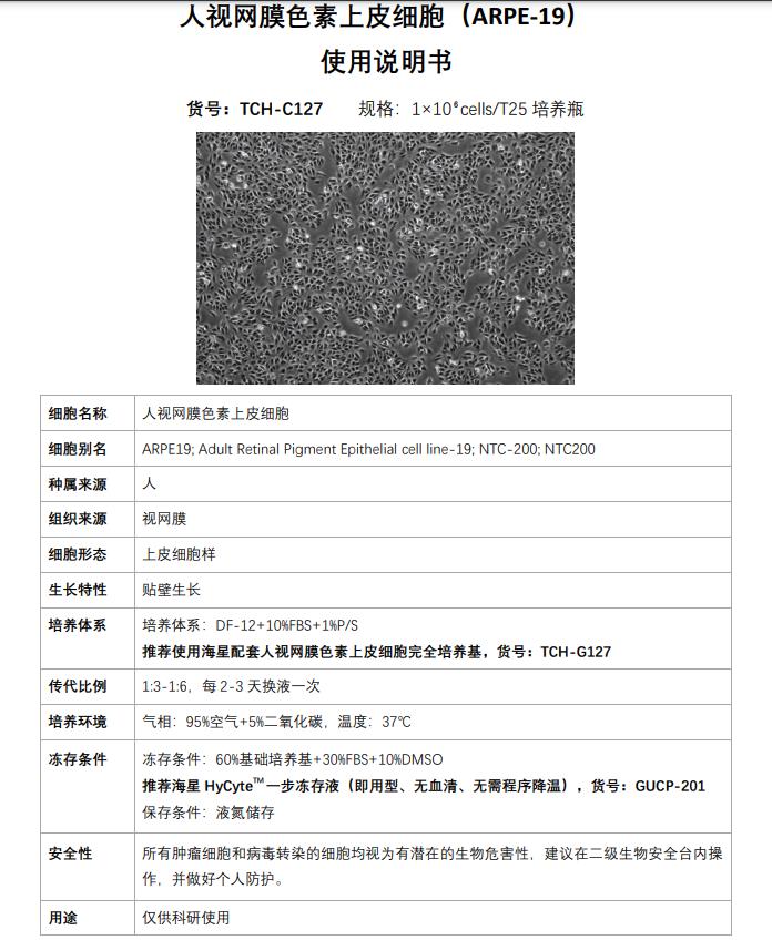 视网膜细胞