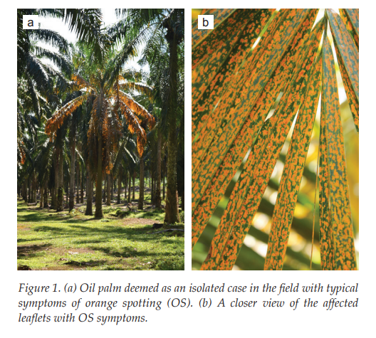 实时荧光定量 PCR 是否比传统逆转录 PCR 检测效果更佳？