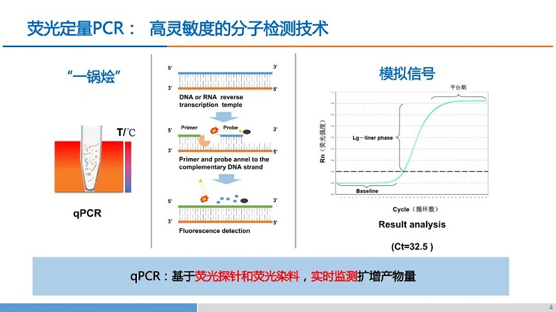 荧光定量PCR