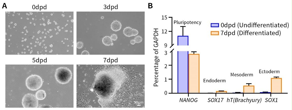 C0800_pic6 C0800_pic6