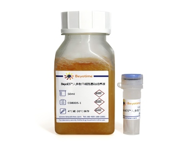 碧云天 BeyoES人多能干细胞培养液 C0800S