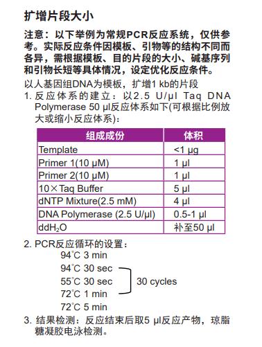 基因扩增