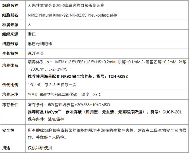 人恶性霍奇金淋巴瘤细胞