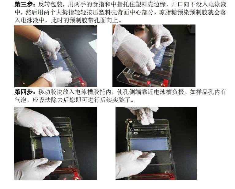 蛋白预制胶取胶方法