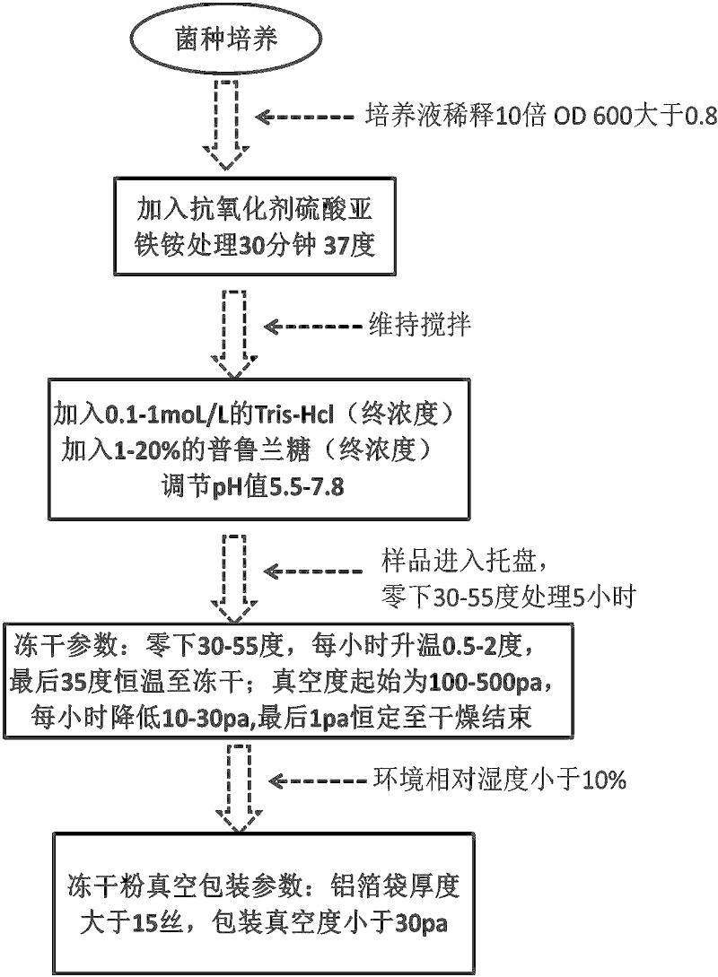 微生物培养